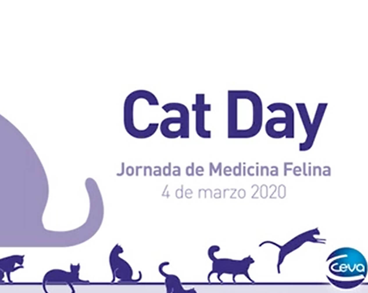 cat-day