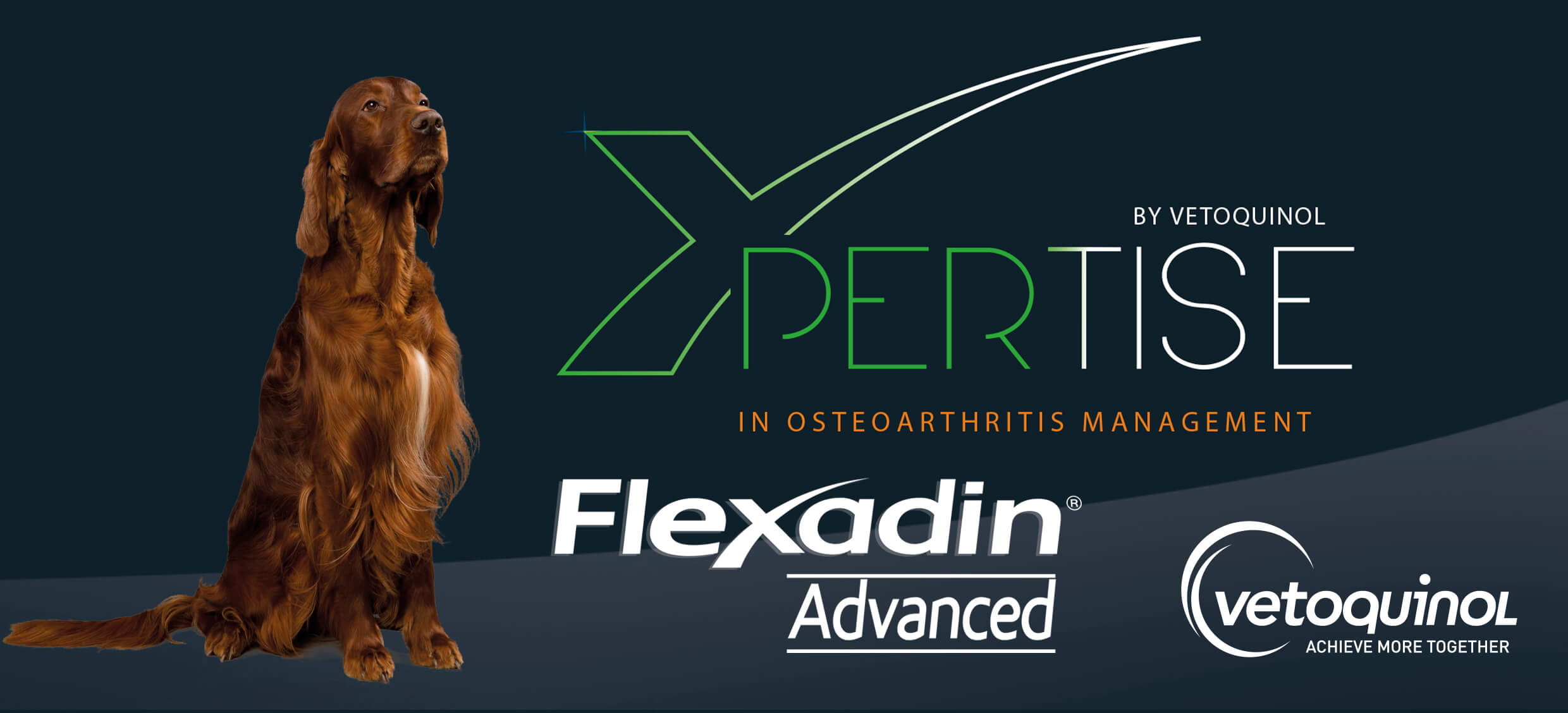 vetoquinol-1st-Digital-Congress-for-Osteoarthriti- in-dogs