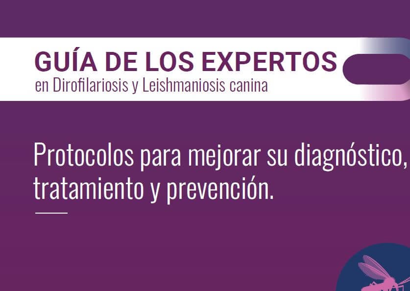 segunda-edicion-de-la-guia-de-los-expertos-en-dirofilariosis-y-leishmaniosis-canina