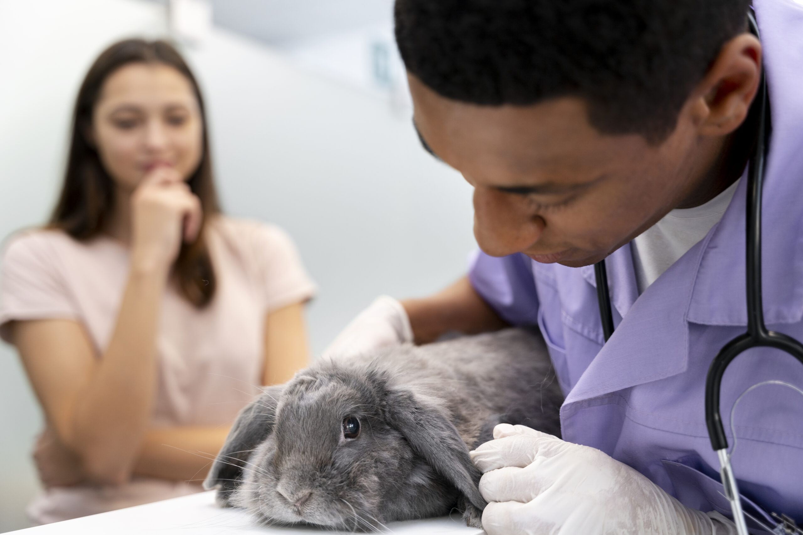 Abordaje diagnóstico de enfermedades respiratorias en conejos