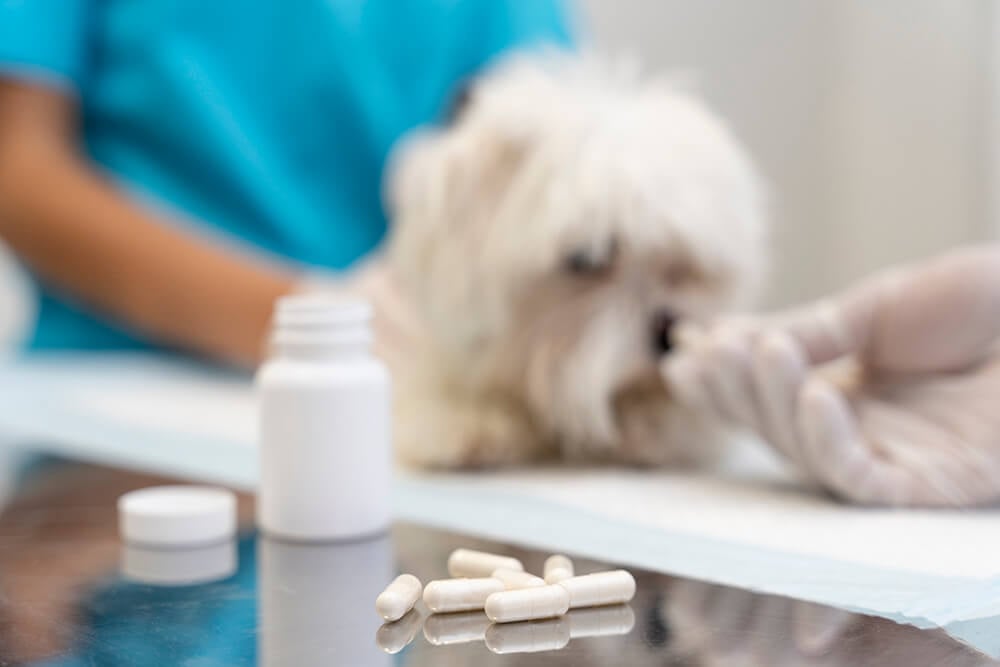 uso-racional-de-antibioticos-perioperatorio