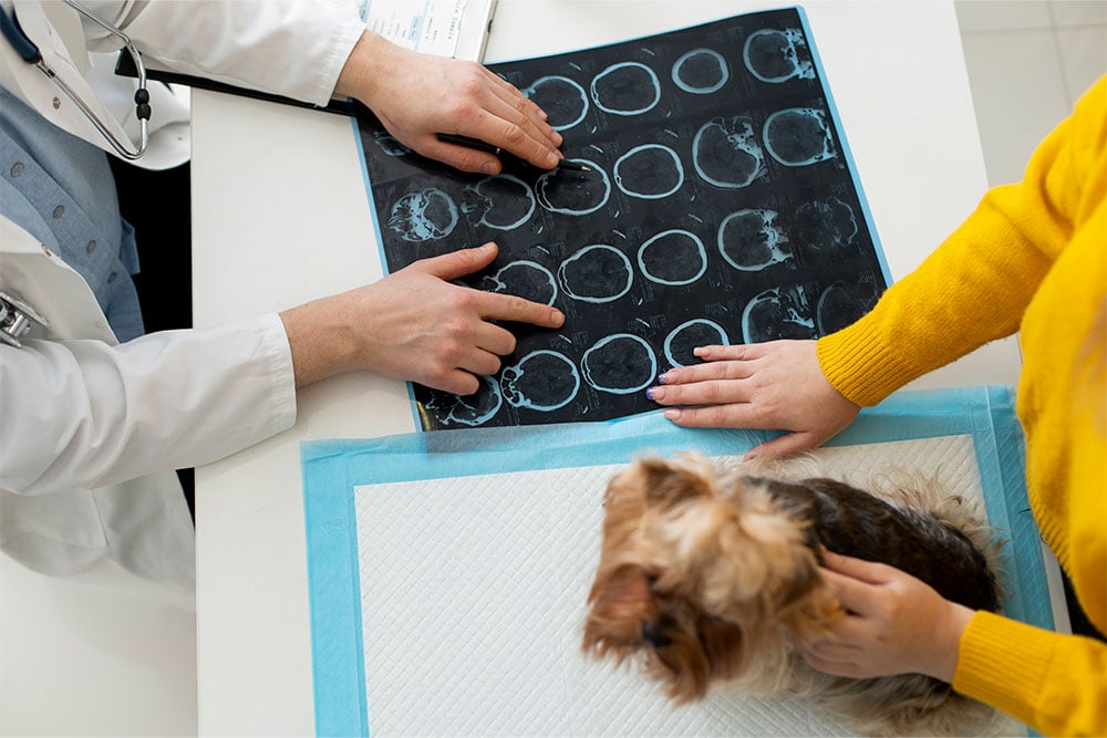 neurorrehabilitacion